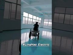 Introduce Lightweight Electric Trike Multifunctional Military Green Disc Brake System 